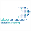 blue-snapper-marketing-agency