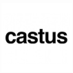 castus-web-design-digital-agency