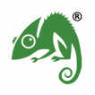 chameleon-web-services-digital-agency